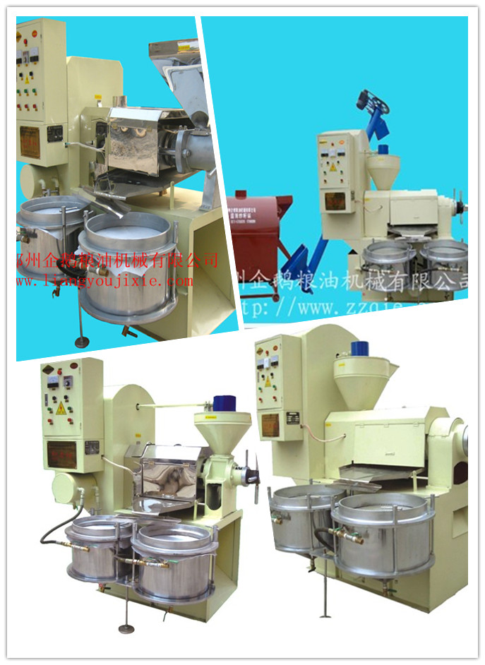 擁有企鵝,食用油安全自己掌握(圖1) 擁有企鵝,食用油安全自己掌握(圖1)