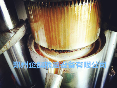 榨油機(jī)最容易出現(xiàn)哪些問題(圖1)