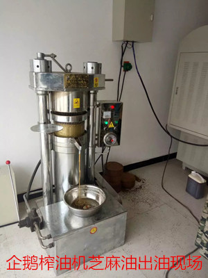 你不知道的菜籽油壓榨過(guò)程(圖1)