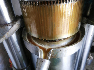 家用小型榨油機發現堵了怎么辦？(圖3)