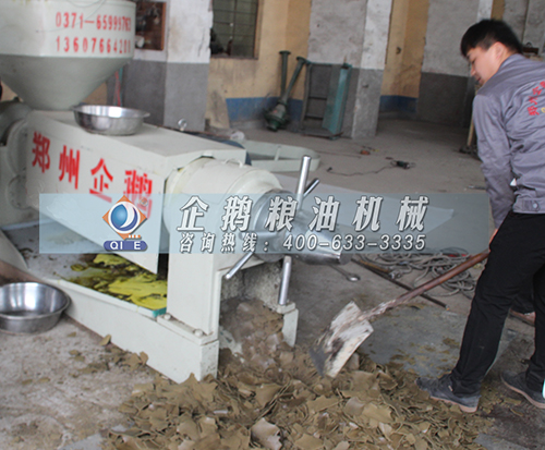 榨油機設(shè)備制取流程介紹(圖1)